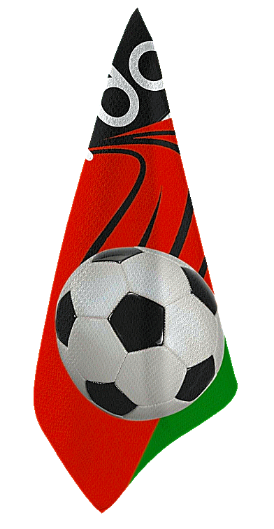 Xcarii Xii - Jordan "We Are" Futbol Strong, rally towel.
